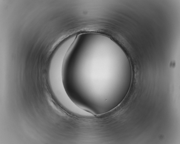 X0000113060530200909110917
