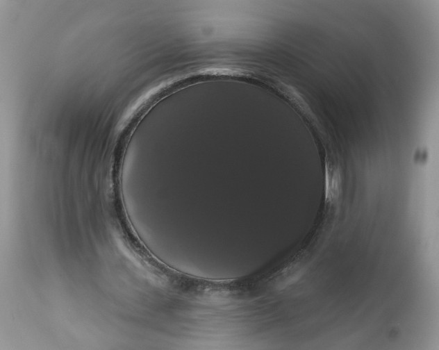 X0000113060531200909110917