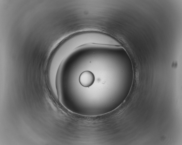 X0000113060532200909110917