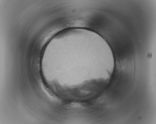 X0000113060534200909110917