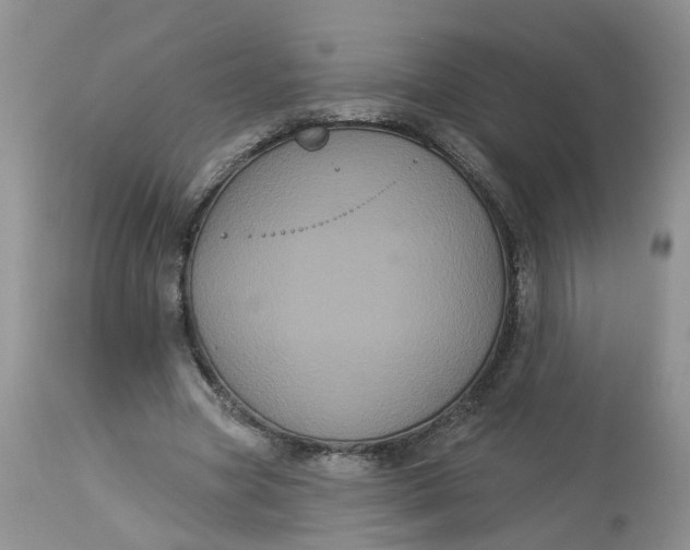 X0000113060537200909110917