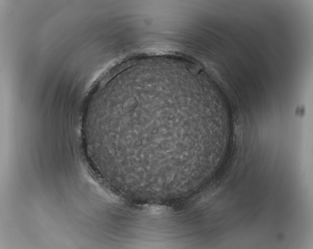 X0000113060539200909110918