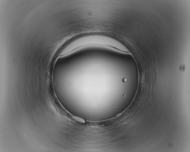 X0000113060540200909110918