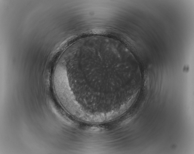 X0000113060542200909110918