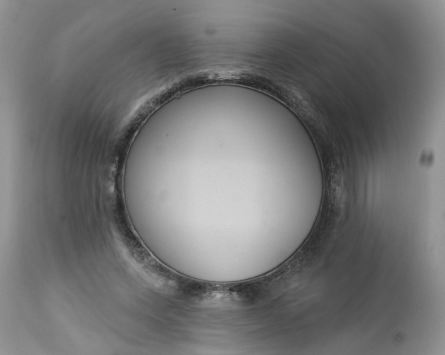 X0000113060543200909110918