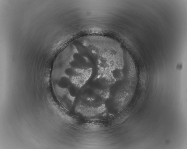 X0000113060545200909110918