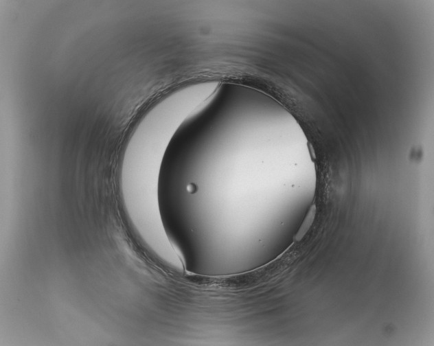 X0000113060546200909110918