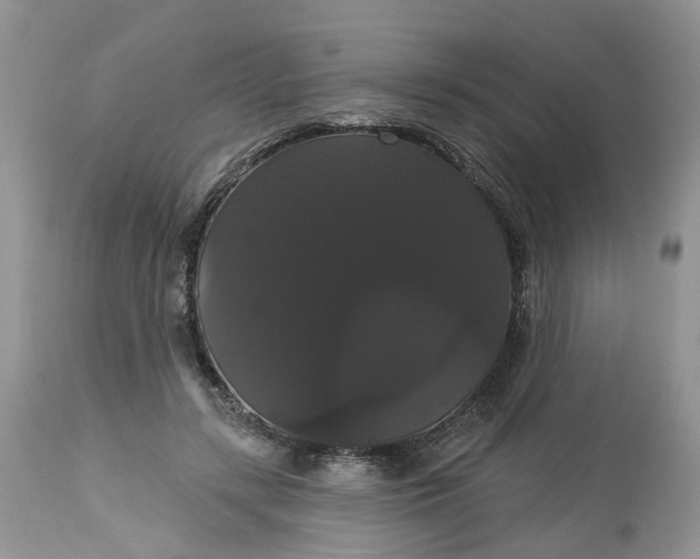 X0000113060547200909110918
