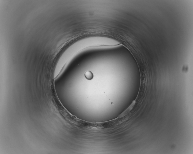 X0000113060548200909110918