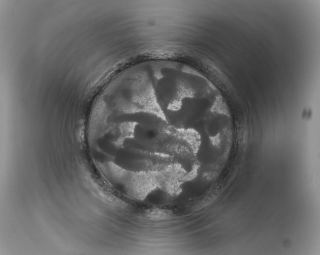 X0000113060549200909110918
