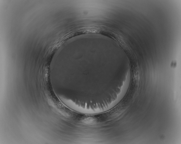 X0000113060551200909110918