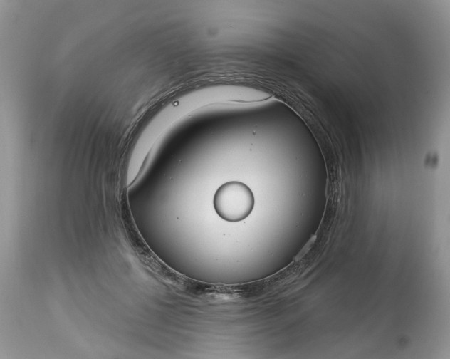 X0000113060552200909110918