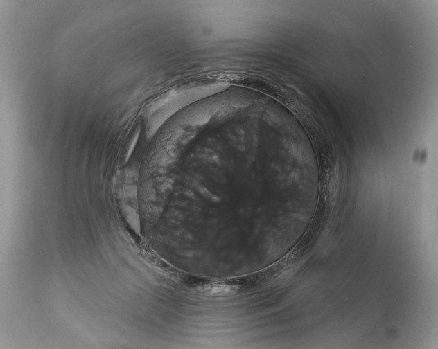 X0000113060553200909110918