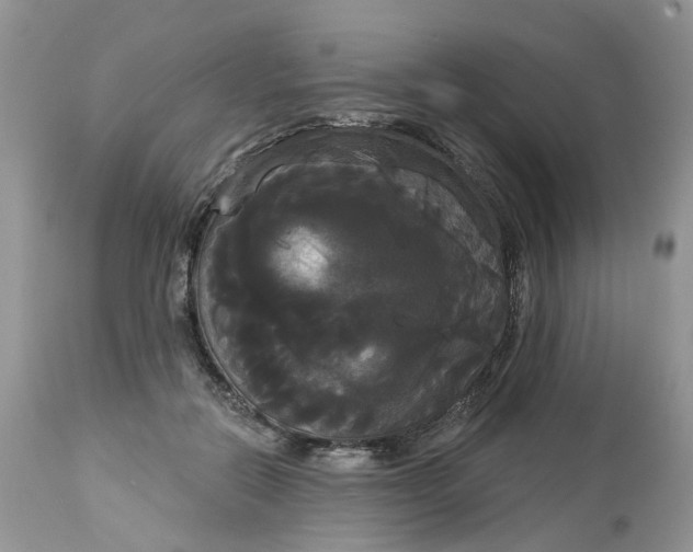 X0000113060554200909110918