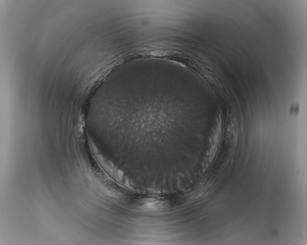 X0000113060555200909110918