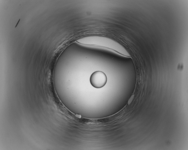 X0000113060556200909110918