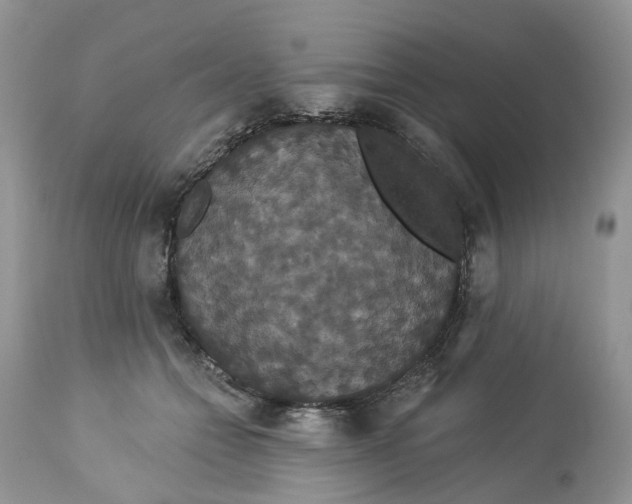 X0000113060558200909110918