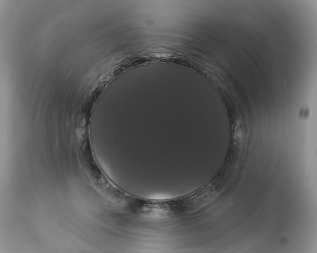 X0000113060559200909110918