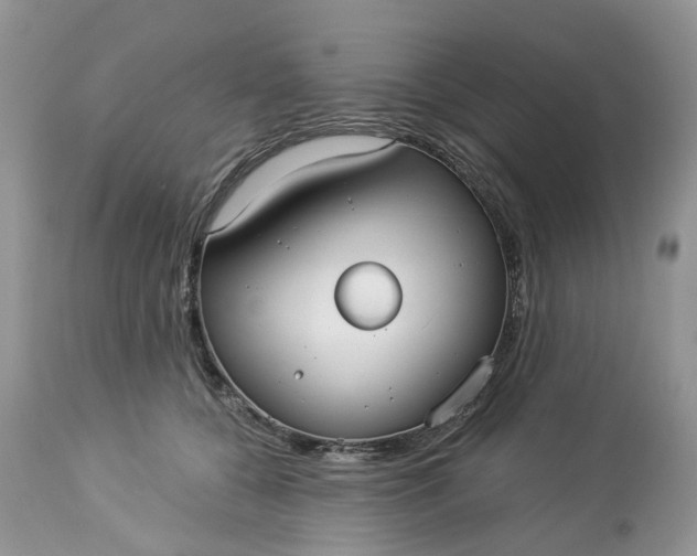 X0000113060560200909110918
