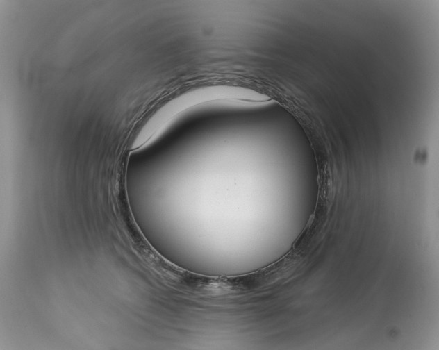 X0000113060562200909110918