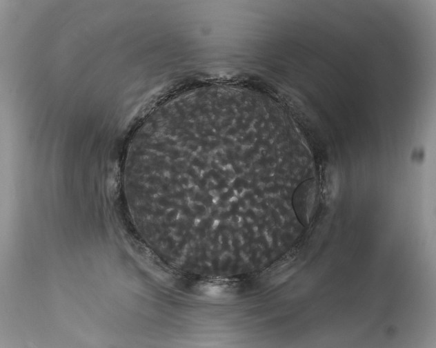 X0000113060563200909110918
