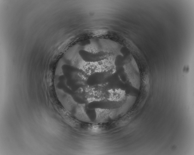 X0000113060565200909110918