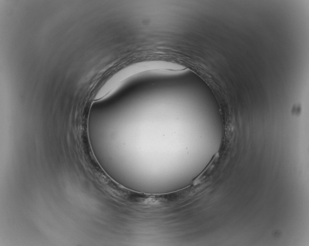 X0000113060566200909110918