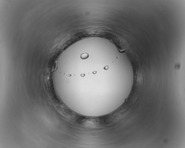 X0000113060567200909110918