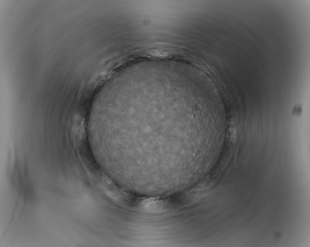 X0000113060568200909110918