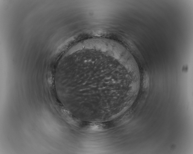 X0000113060569200909110918
