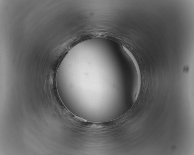 X0000113060570200909110918
