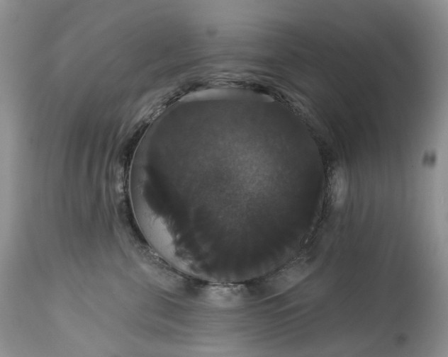 X0000113060571200909110918