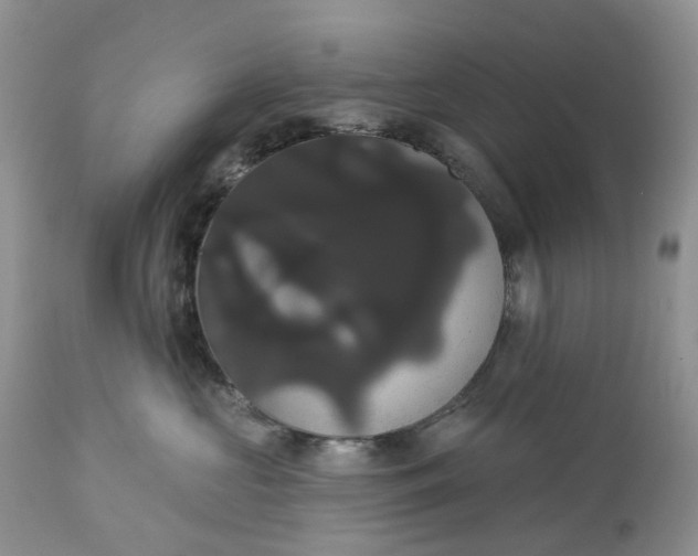 X0000113060573200909110918