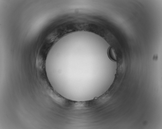 X0000113060574200909110918