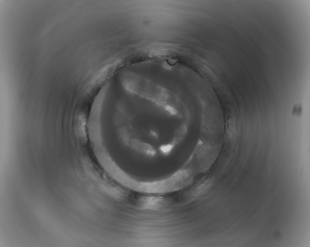 X0000113060575200909110918