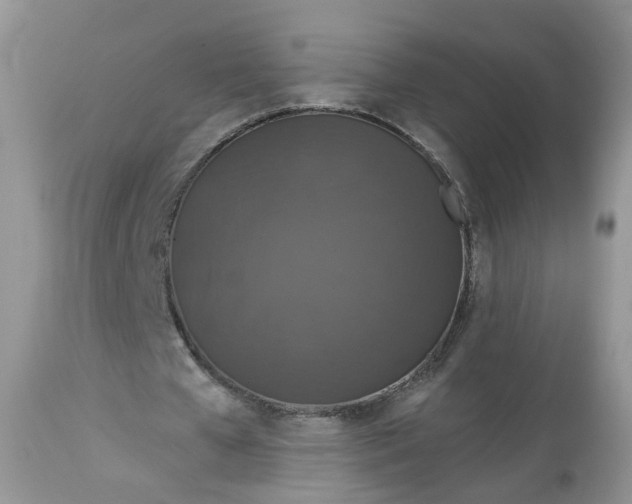 X0000113060577200909110917