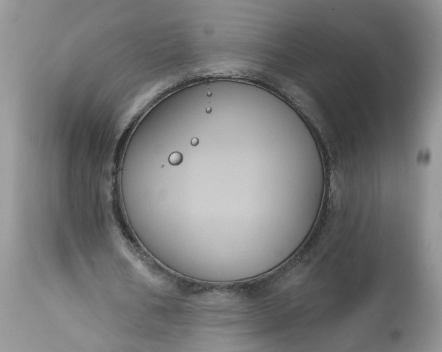 X0000113060578200909110917