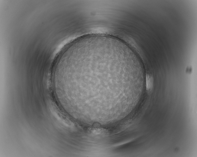 X0000113060579200909110917