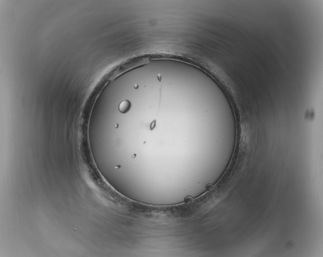 X0000113060580200909110917