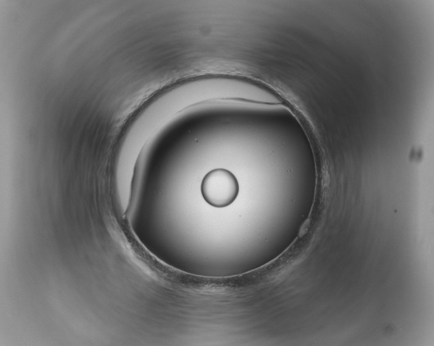 X0000113060581200909110917