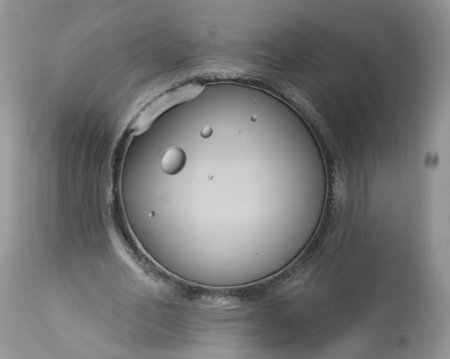 X0000113060582200909110917