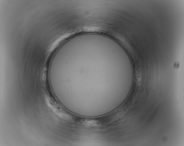 X0000113060583200909110917