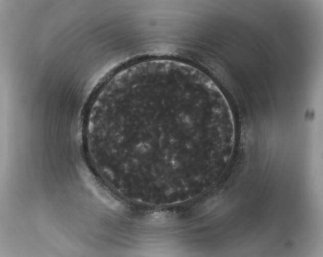 X0000113060584200909110917