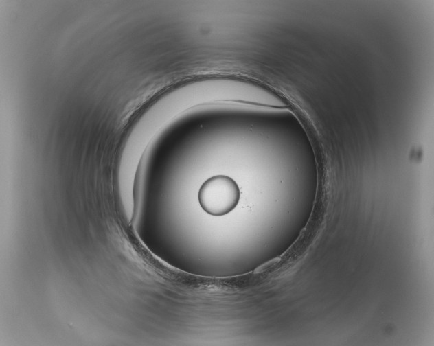 X0000113060585200909110917