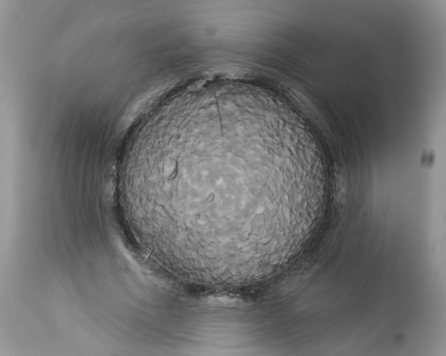 X0000113060586200909110917