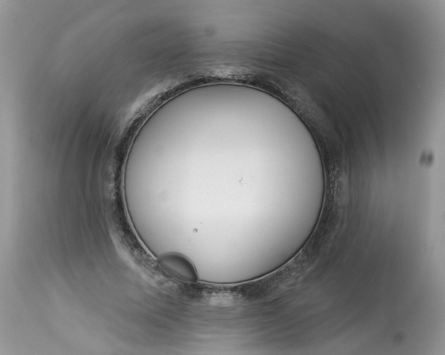 X0000113060587200909110917