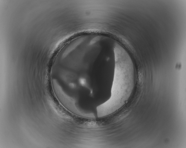 X0000113060588200909110917