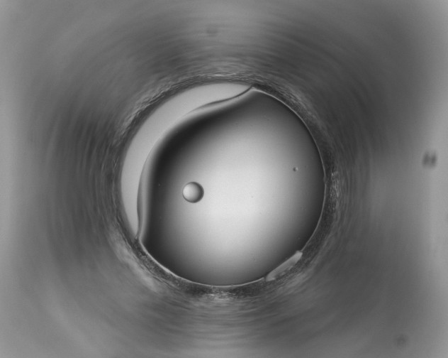 X0000113060589200909110917