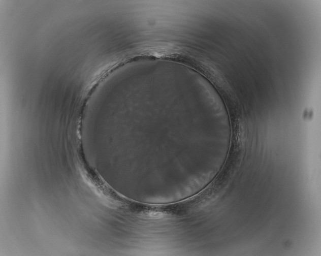 X0000113060590200909110917