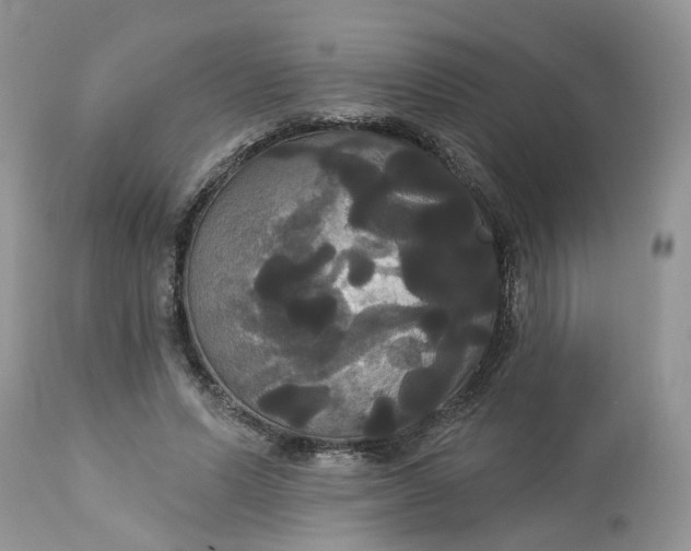 X0000113060591200909110917